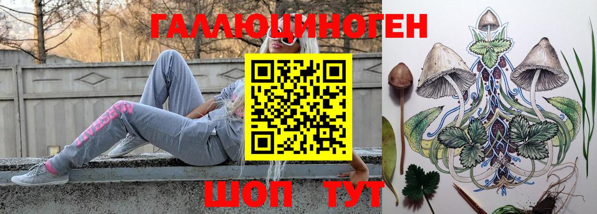 Галлюциногенные грибы прущие грибы Кызыл