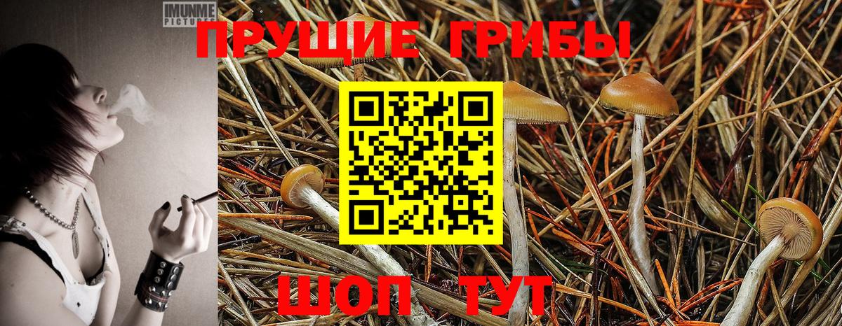 Псилоцибиновые грибы MAGIC MUSHROOMS  Вход с VPN  Кызыл 